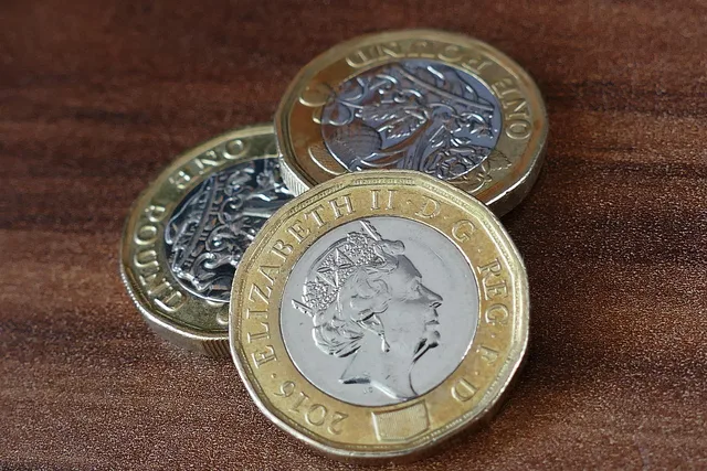 pound coin, british, new, money, finance, pound, currency, one, cash, coin, business, england, uk, savings, sterling, wealth, bank, economy, investment, gold, english, royal, pile, income, britain, value, banking, bimetallic, mint, metal, kingdom, economic, financial, shiny, profit, golden, earnings, revenue, payment, stack, credit, salary, brown money, brown finance, brown economy, pound coin, pound coin, pound coin, pound coin, pound coin. Best ecommerce platform for a UK small business: budget and VAT features